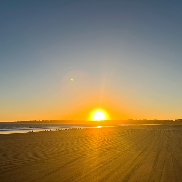 Meet your Posher, Kira - Picture 1 of 1